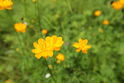 想考公务员大学选择什么专业？