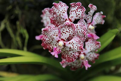 福建省普通高校名单(77所)