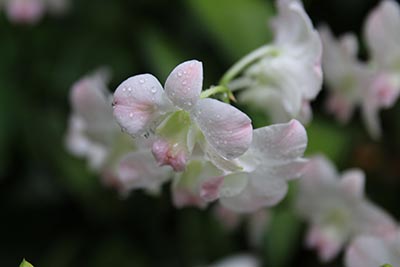 辽宁高考成绩查询系统入口 2023年辽宁高考查分成绩查询入口