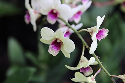 2024年江西高考成绩公布时间：预计6月25日 高考查分入口