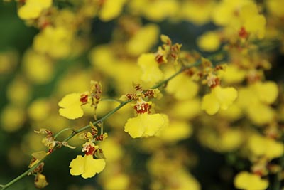 宁夏普通高校名单(14所)
