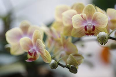 陕西高考成绩查询系统入口 2023年陕西高考查分成绩查询入口