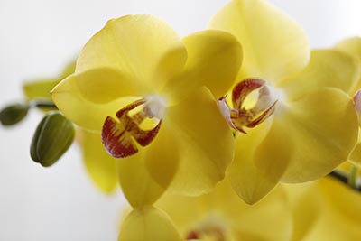 辽宁高考成绩查询系统入口 2023年辽宁高考查分成绩查询入口