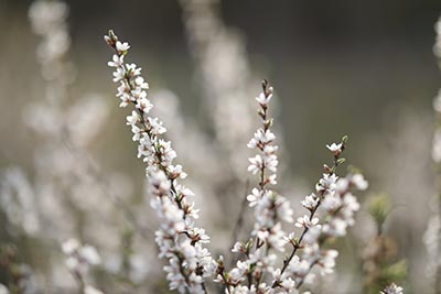 广西高考成绩查询系统入口 2023年广西高考查分成绩查询入口